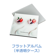 ハードケースアルバム