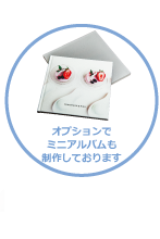 オプションミニアルバム