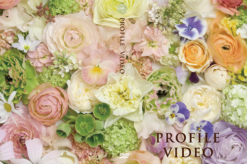 プロフィールビデオDVDパッケージ