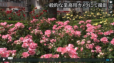 結婚式ビデオ撮影比較映像